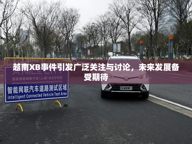 越南XB事件引发广泛关注与讨论，未来发展备受期待