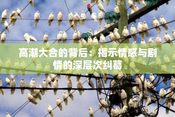 高潮大合的背后：揭示情感与剧情的深层次纠葛