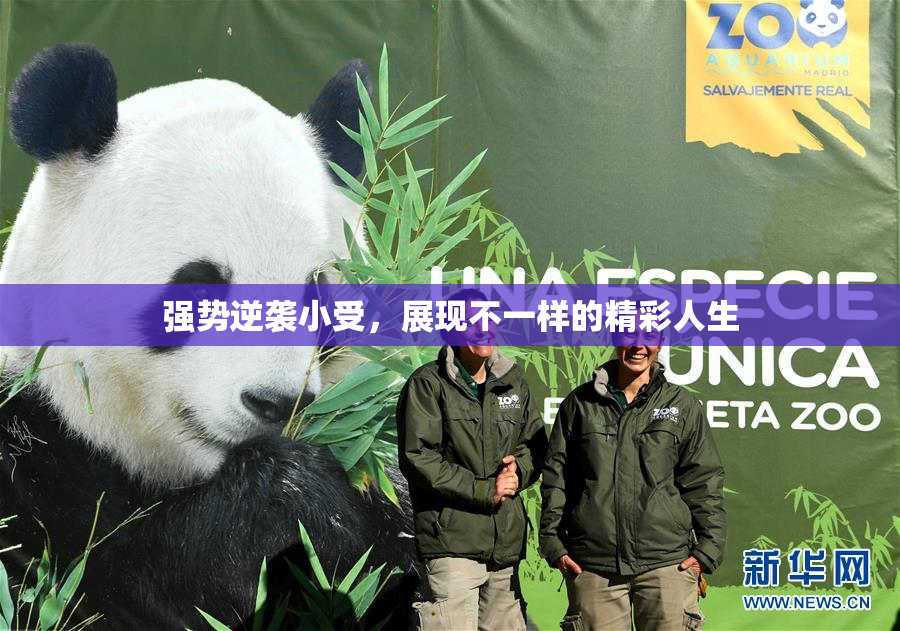 强势逆袭小受，展现不一样的精彩人生