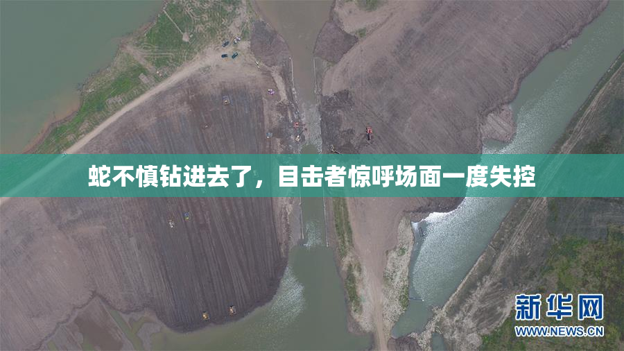 蛇不慎钻进去了，目击者惊呼场面一度失控