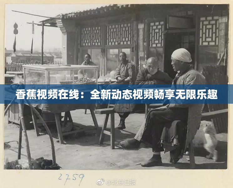 香蕉视频在线：全新动态视频畅享无限乐趣