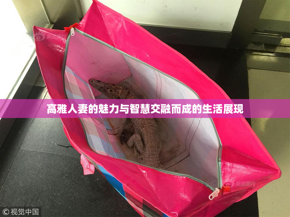 高雅人妻的魅力与智慧交融而成的生活展现