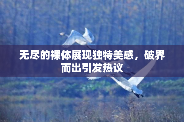无尽的裸体展现独特美感，破界而出引发热议