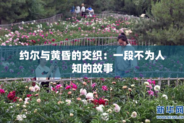 约尔与黄昏的交织：一段不为人知的故事