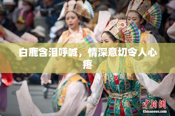 白鹿含泪呼喊，情深意切令人心疼