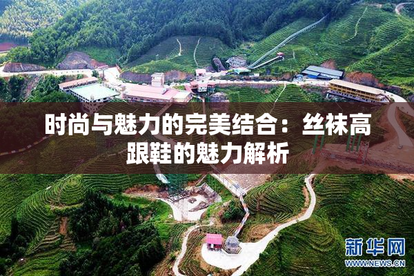 时尚与魅力的完美结合：丝袜高跟鞋的魅力解析