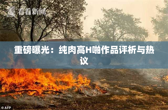 重磅曝光：纯肉高H啪作品评析与热议