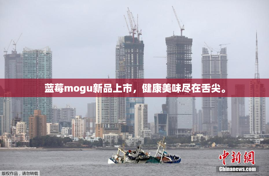 蓝莓mogu新品上市，健康美味尽在舌尖。