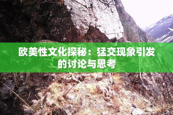 欧美性文化探秘：猛交现象引发的讨论与思考