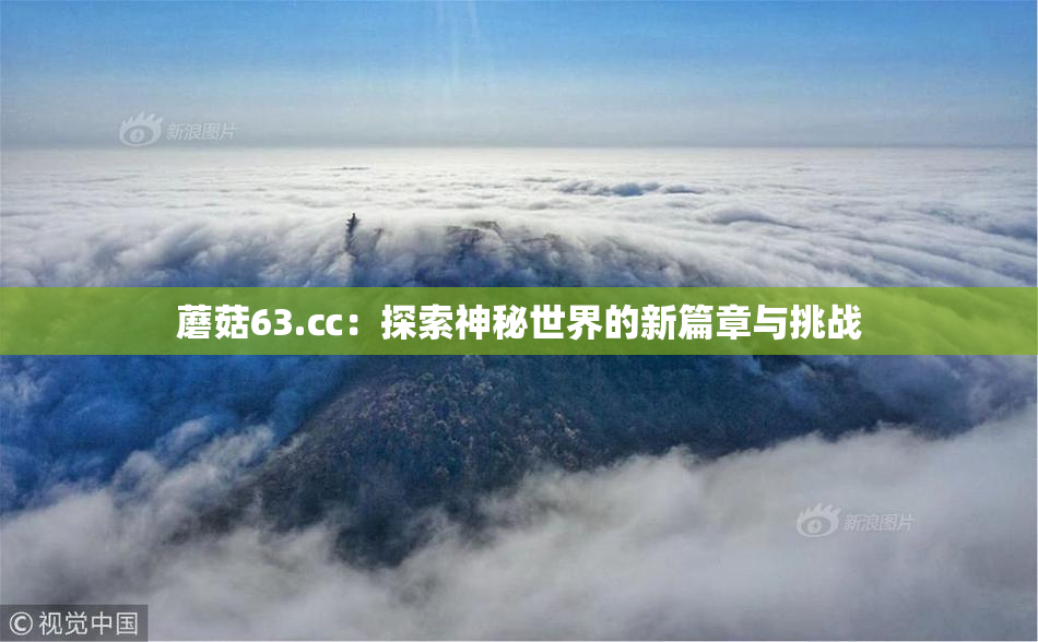 蘑菇63.㏄：探索神秘世界的新篇章与挑战
