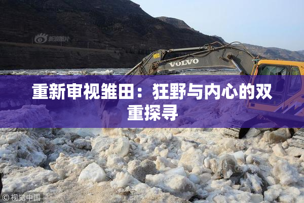 重新审视雏田：狂野与内心的双重探寻