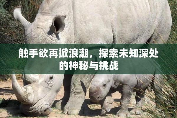 触手欲再掀浪潮，探索未知深处的神秘与挑战