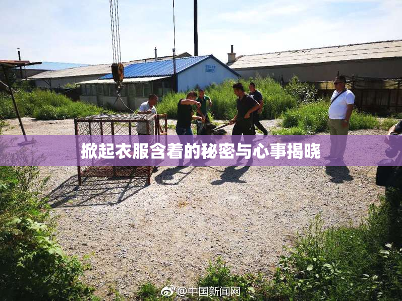 掀起衣服含着的秘密与心事揭晓