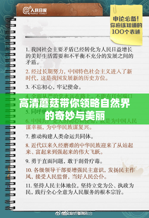 高清蘑菇带你领略自然界的奇妙与美丽