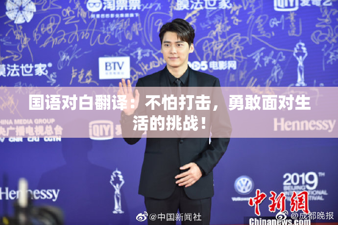 国语对白翻译：不怕打击，勇敢面对生活的挑战！