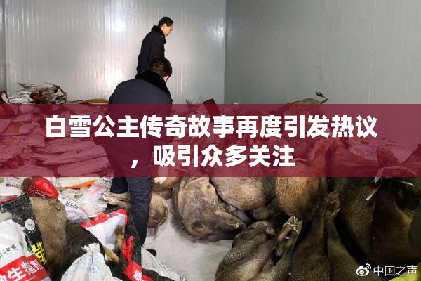 白雪公主传奇故事再度引发热议，吸引众多关注