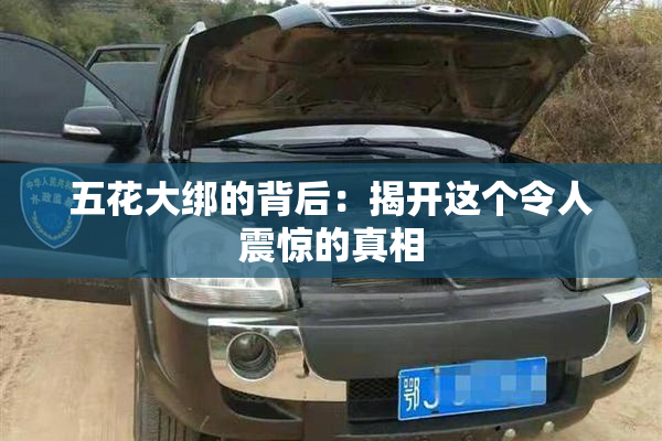 五花大绑的背后：揭开这个令人震惊的真相