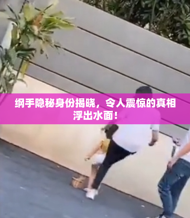 纲手隐秘身份揭晓，令人震惊的真相浮出水面！