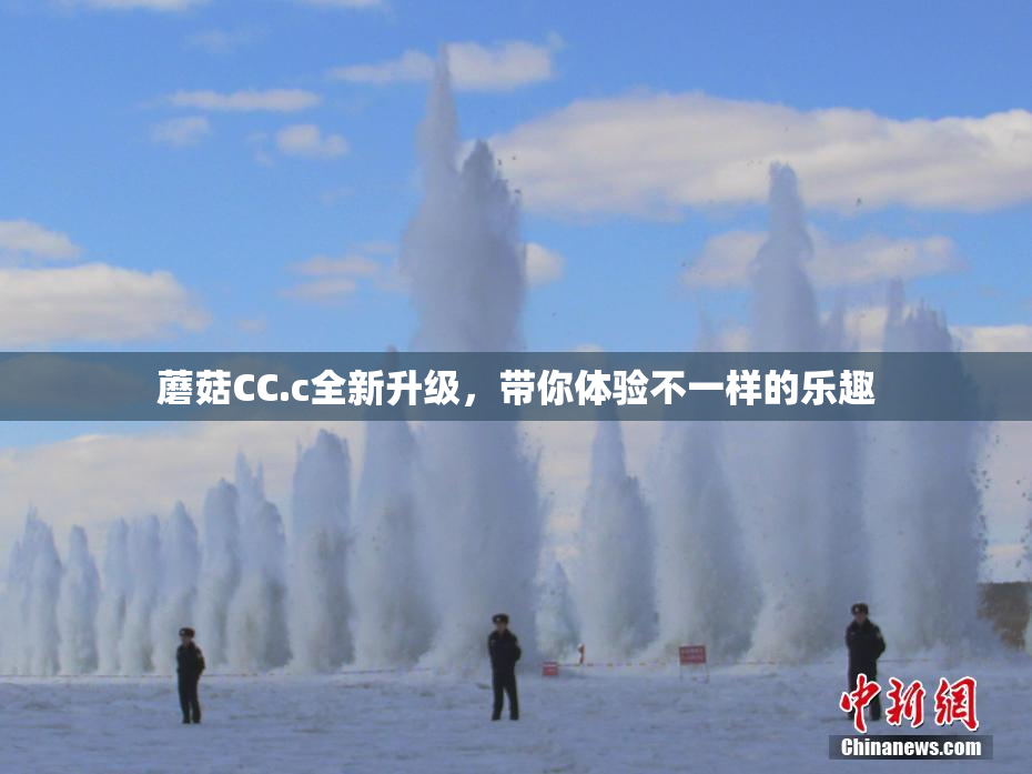蘑菇CC.c全新升级，带你体验不一样的乐趣