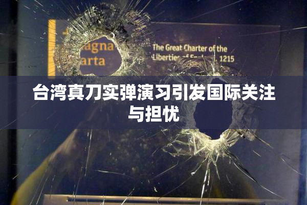 台湾真刀实弹演习引发国际关注与担忧