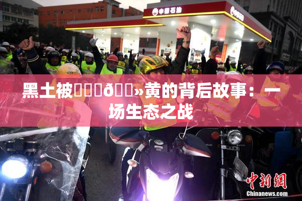 黑土被❌‌‌🐻黄的背后故事：一场生态之战