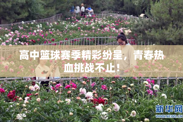 高中篮球赛季精彩纷呈，青春热血挑战不止！