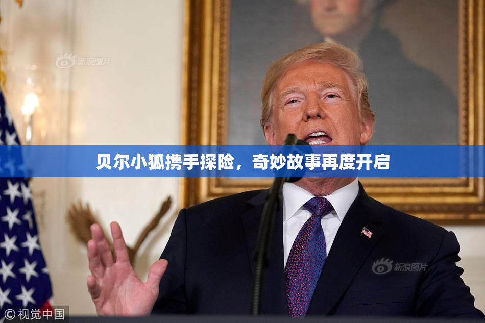 贝尔小狐携手探险，奇妙故事再度开启