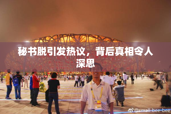 秘书脱引发热议，背后真相令人深思
