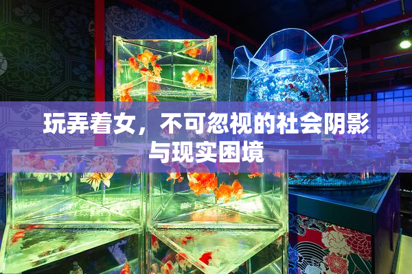 玩弄着女，不可忽视的社会阴影与现实困境