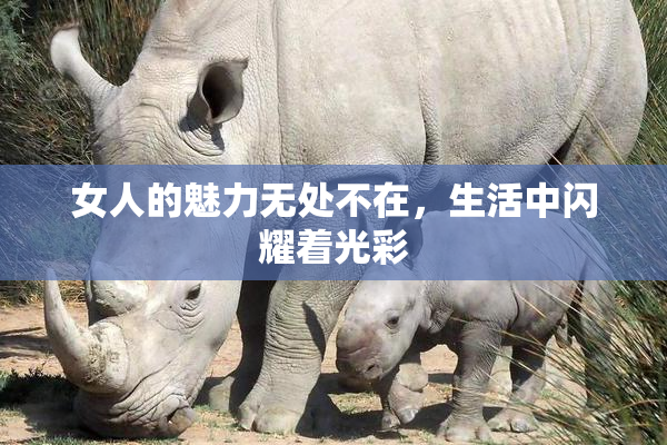 女人的魅力无处不在，生活中闪耀着光彩