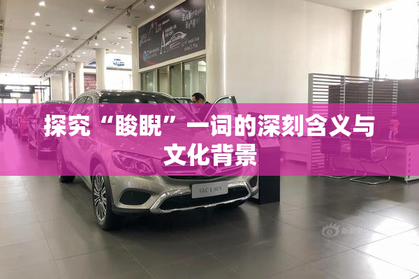 探究“睃睨”一词的深刻含义与文化背景