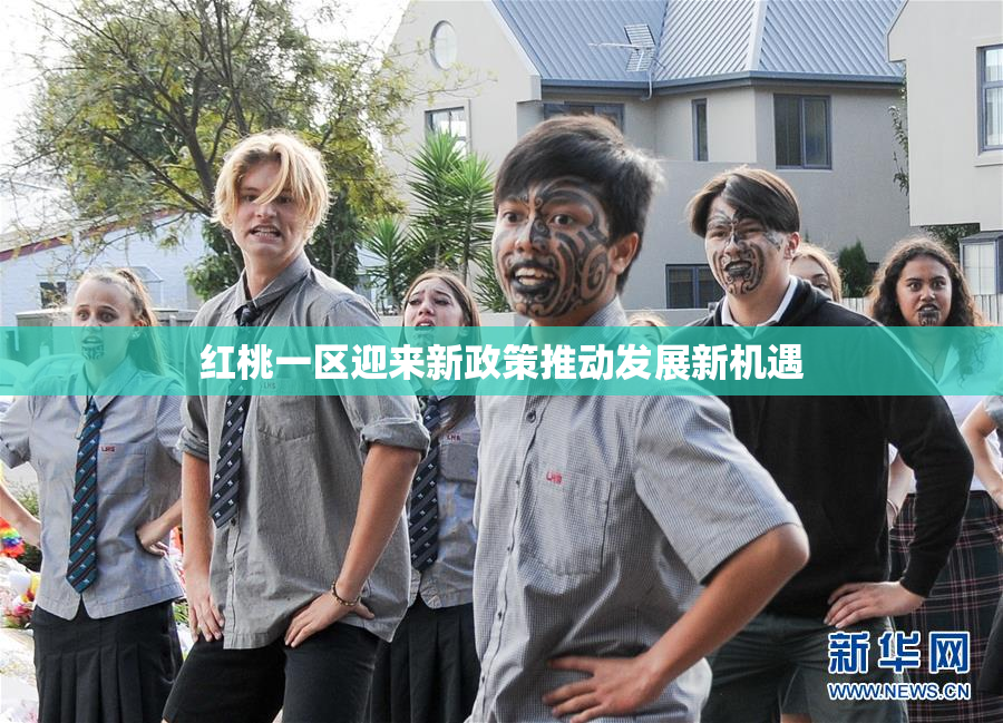 红桃一区迎来新政策推动发展新机遇
