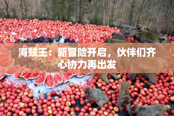 海贼王：新冒险开启，伙伴们齐心协力再出发