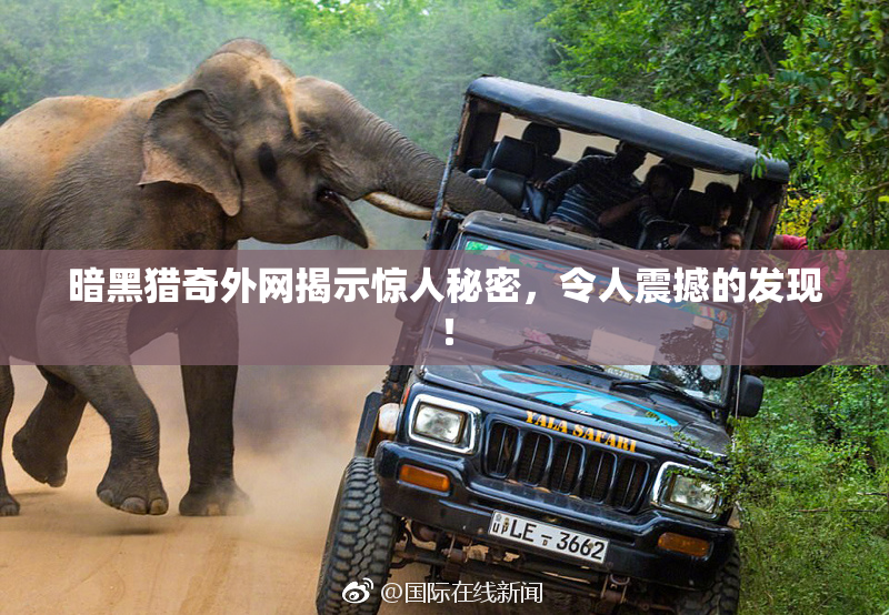 暗黑猎奇外网揭示惊人秘密，令人震撼的发现！