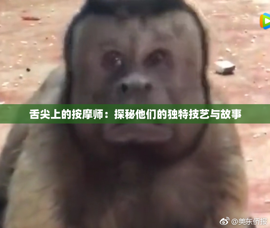 舌尖上的按摩师：探秘他们的独特技艺与故事