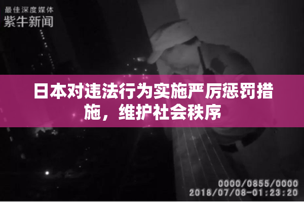 日本对违法行为实施严厉惩罚措施，维护社会秩序