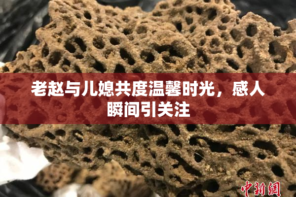 老赵与儿媳共度温馨时光，感人瞬间引关注