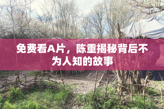 免费看A片，陈重揭秘背后不为人知的故事