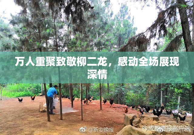 万人重聚致敬柳二龙，感动全场展现深情