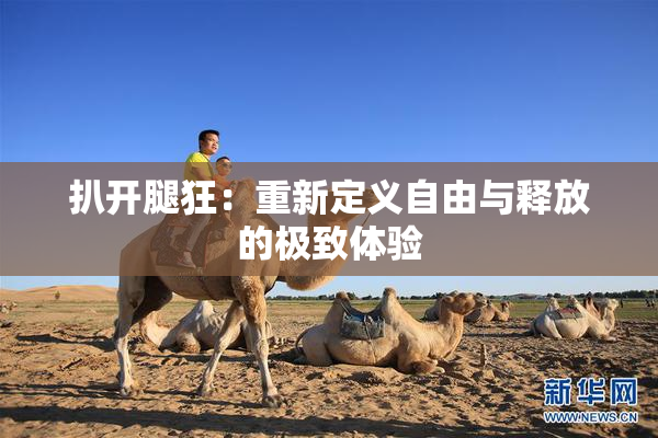 扒开腿狂：重新定义自由与释放的极致体验