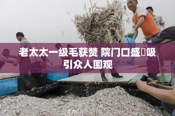 老太太一级毛获赞 院门口盛況吸引众人围观