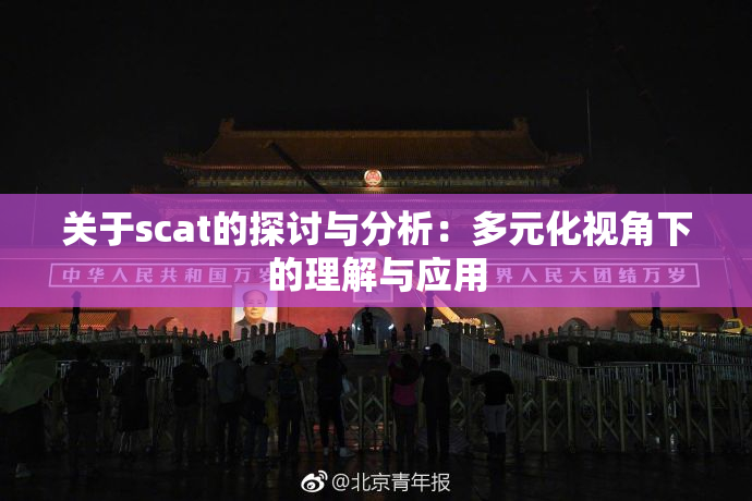 关于scat的探讨与分析：多元化视角下的理解与应用