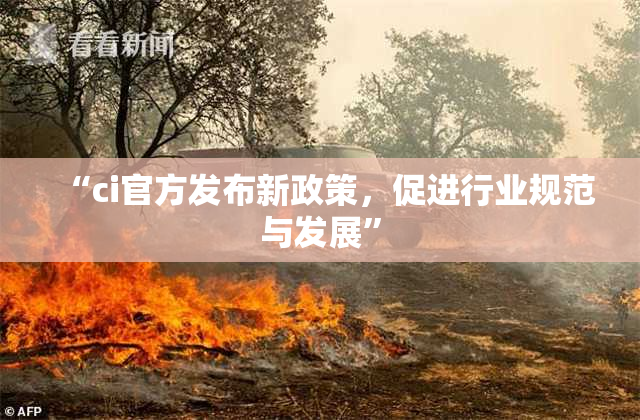 “ci官方发布新政策，促进行业规范与发展”