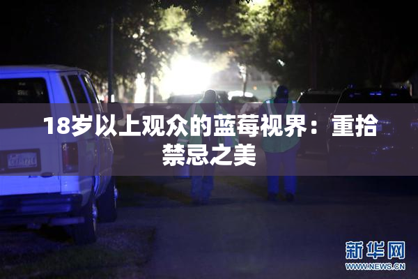 18岁以上观众的蓝莓视界：重拾禁忌之美