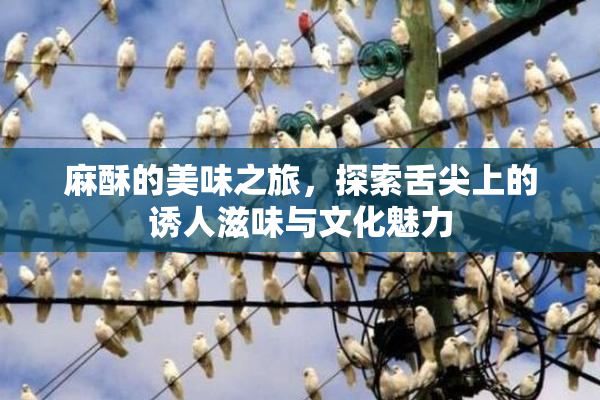 麻酥的美味之旅，探索舌尖上的诱人滋味与文化魅力