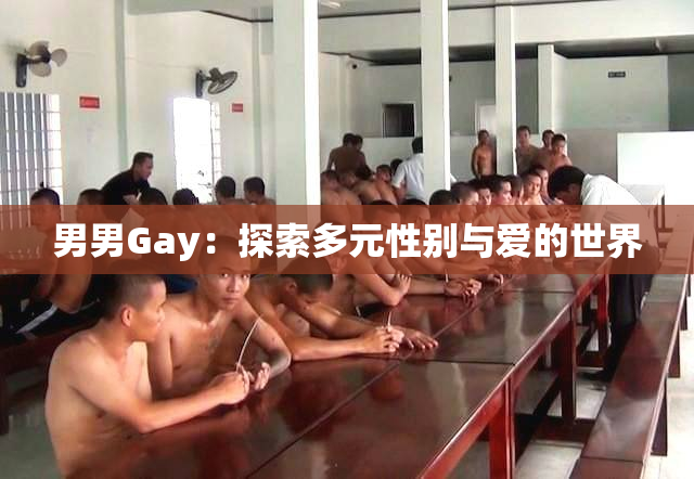 男男Gay：探索多元性别与爱的世界