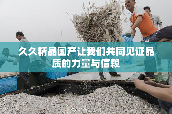 久久精品国产让我们共同见证品质的力量与信赖