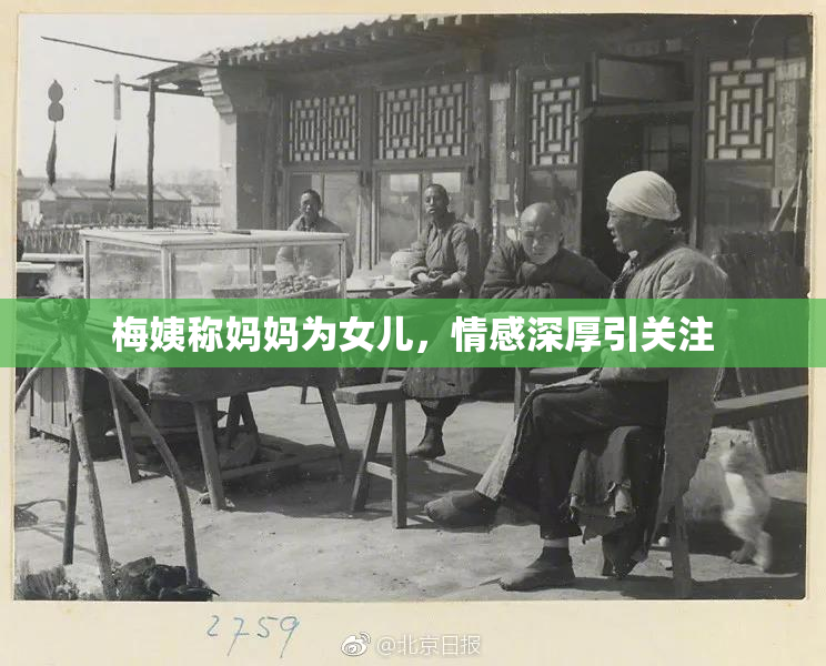 梅姨称妈妈为女儿，情感深厚引关注