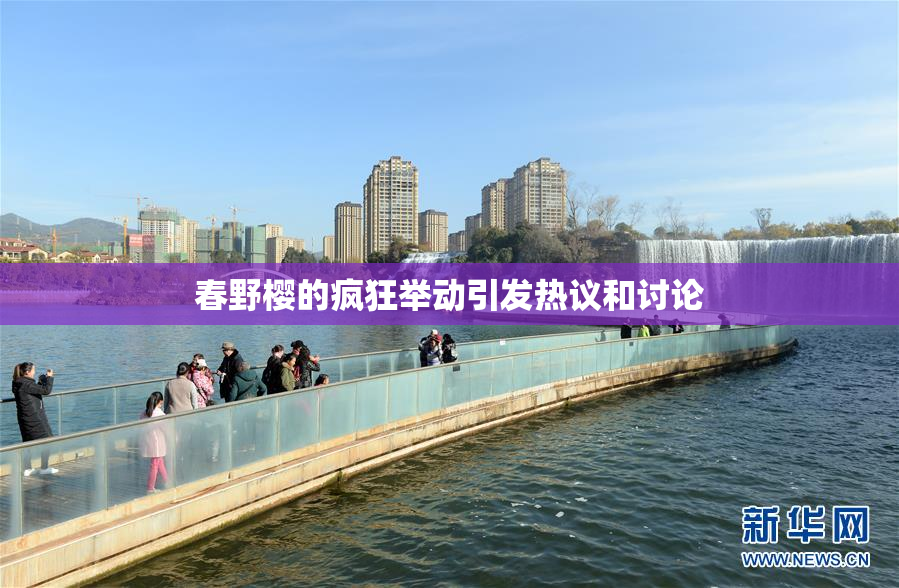 春野樱的疯狂举动引发热议和讨论