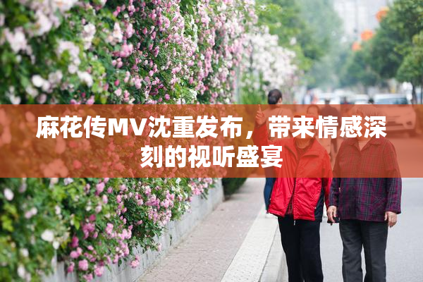 麻花传MV沈重发布，带来情感深刻的视听盛宴